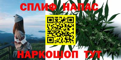 PSILOCYBIN Чебоксары