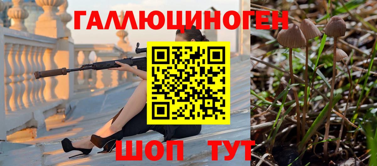 Галлюциногенные грибы мицелий Астрахань