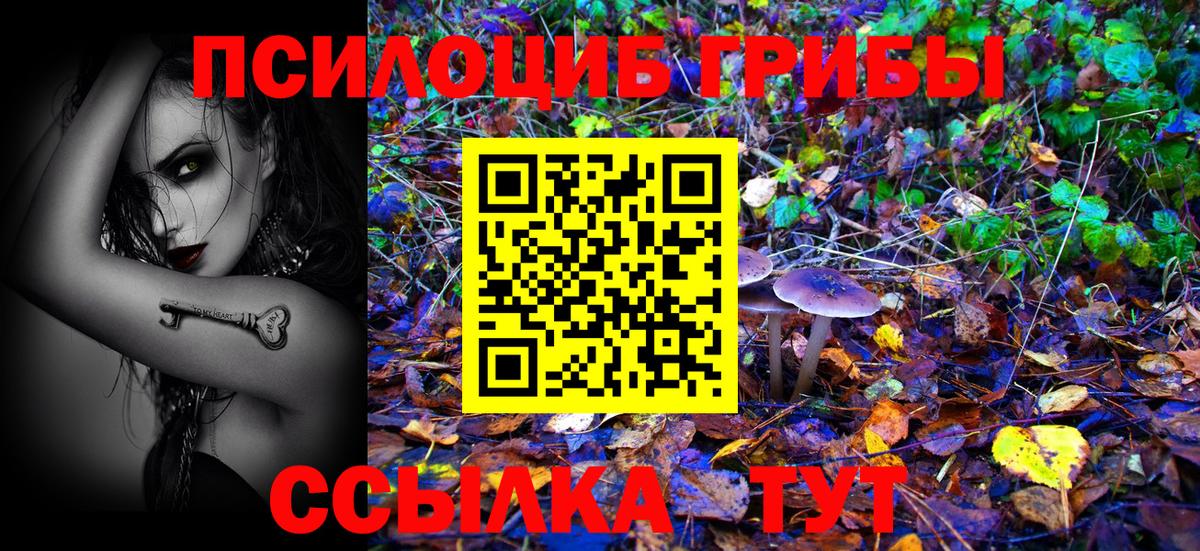 Галлюциногенные грибы прущие грибы  Галлюциногенные грибы Magic Shrooms  Вход с VPN  Астрахань 
